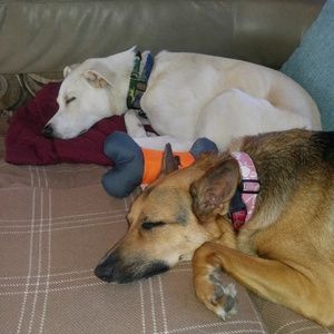 Meet your Posher, Mary jo